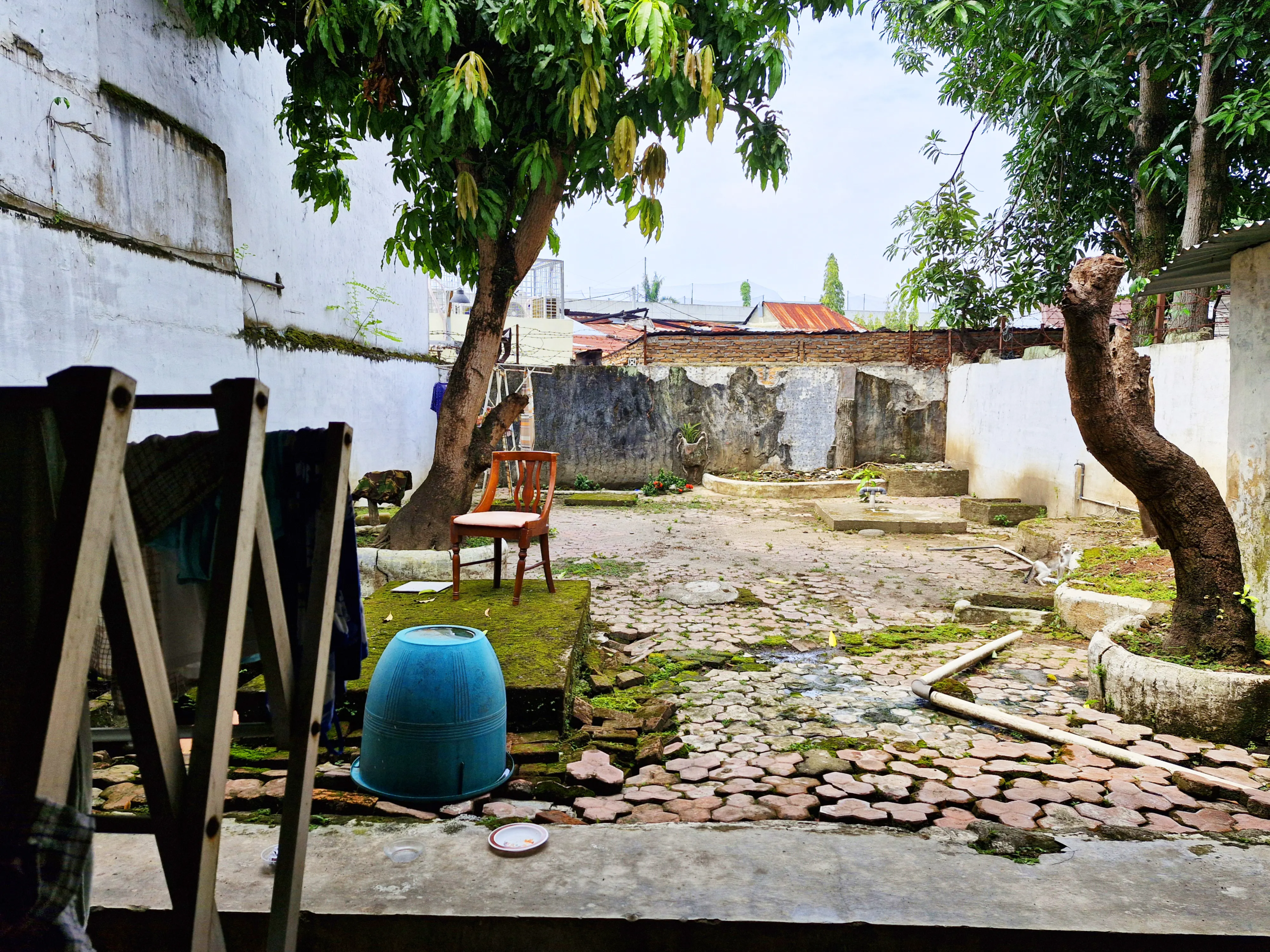 Rumah Super Strategis di Pusat Kota – Aset Bernilai Tinggi di Jalan Putri Hijau!