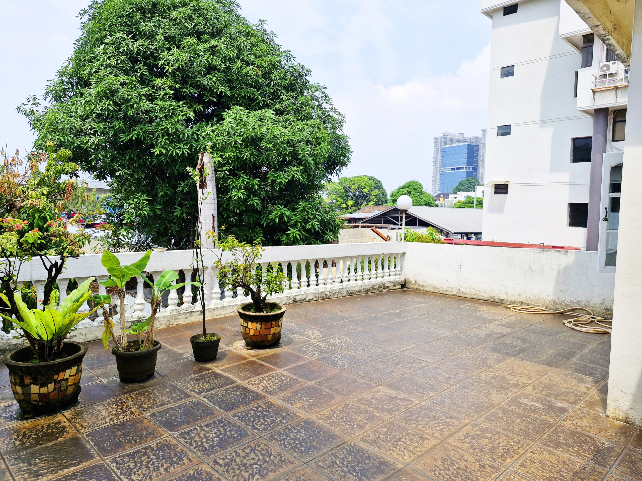 Rumah Super Strategis di Pusat Kota – Aset Bernilai Tinggi di Jalan Putri Hijau!
